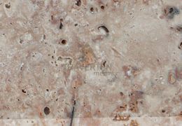 Bullnose